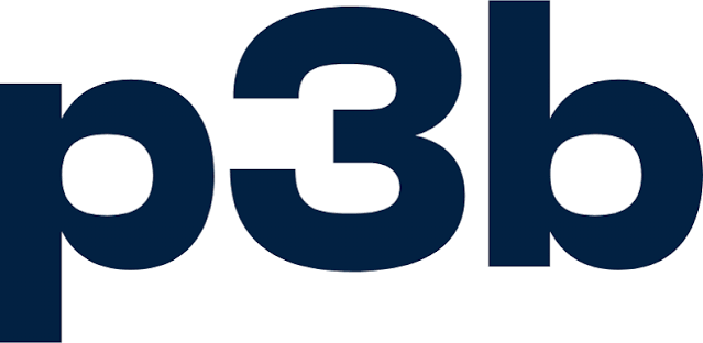 p3b